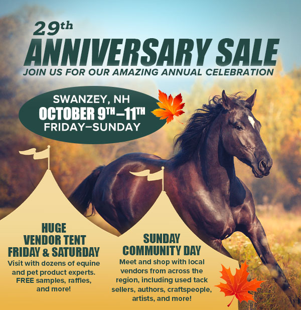29th Anniversary Sale