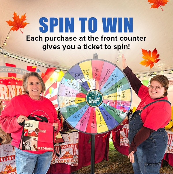 Spin to Win